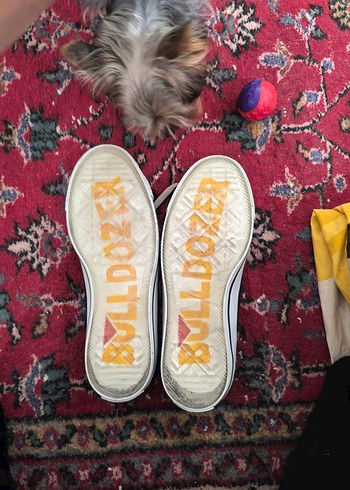 Converse Spor Ayakkabı 44 numara - Görsel 5