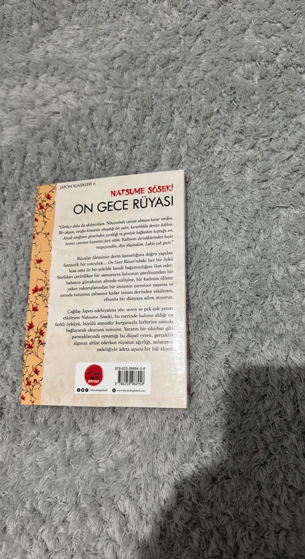 On Gece Rüyası - Natsume Soseki Romanı - Görsel 2