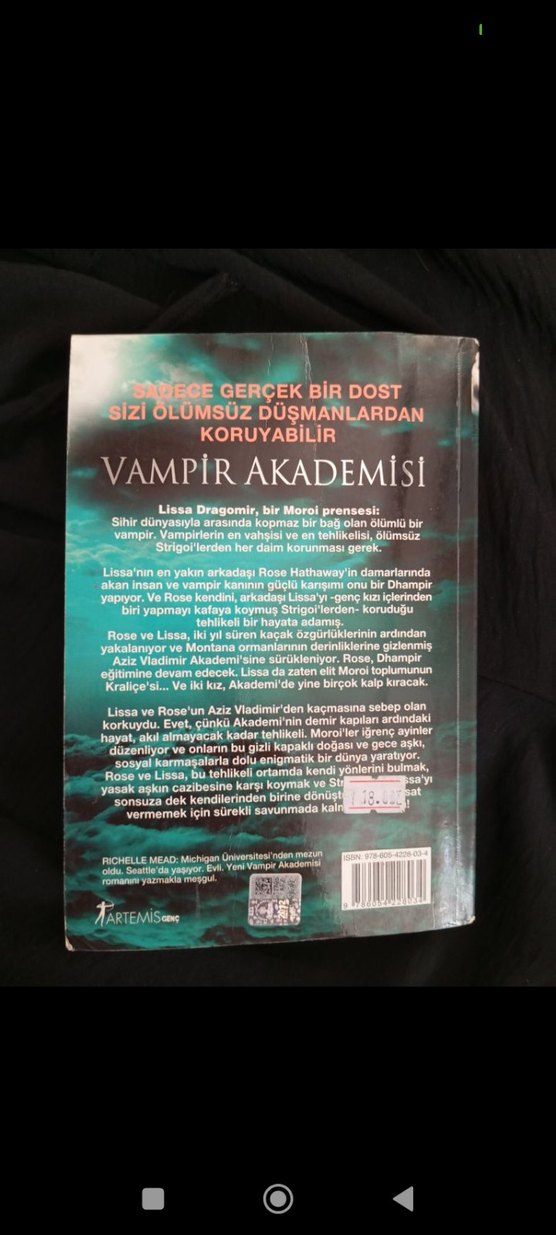 Vampir Akademisi - Richelle Mead - Görsel 3