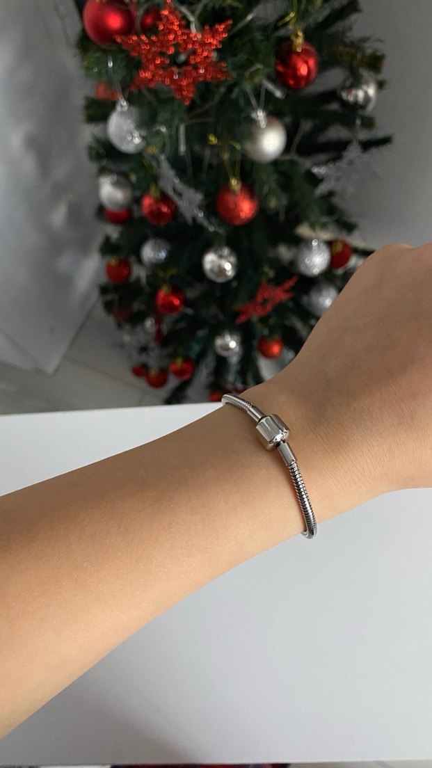 Silver Çelik Pandora Model Bileklik - Görsel 2