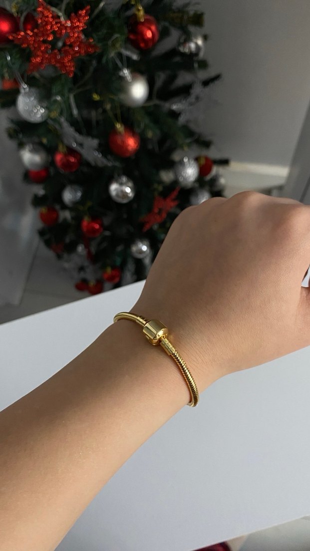 Gold Çelik Pandora Model Bileklik - Görsel 2