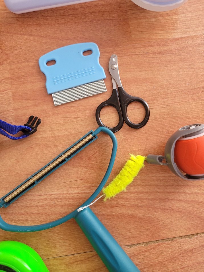 kedi aksesuarları - Görsel 2