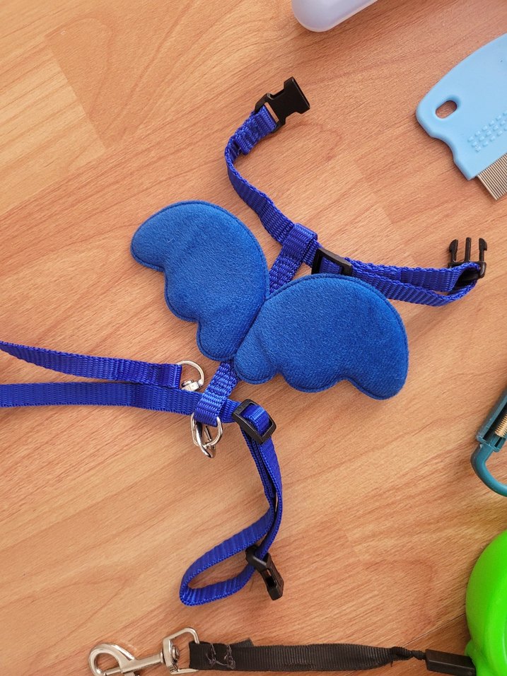 kedi aksesuarları - Görsel 4