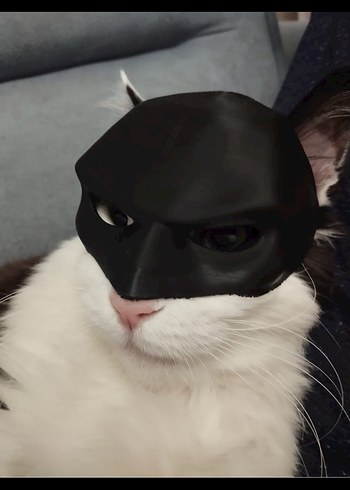 Batman Kedi Maskesi - Görsel 2