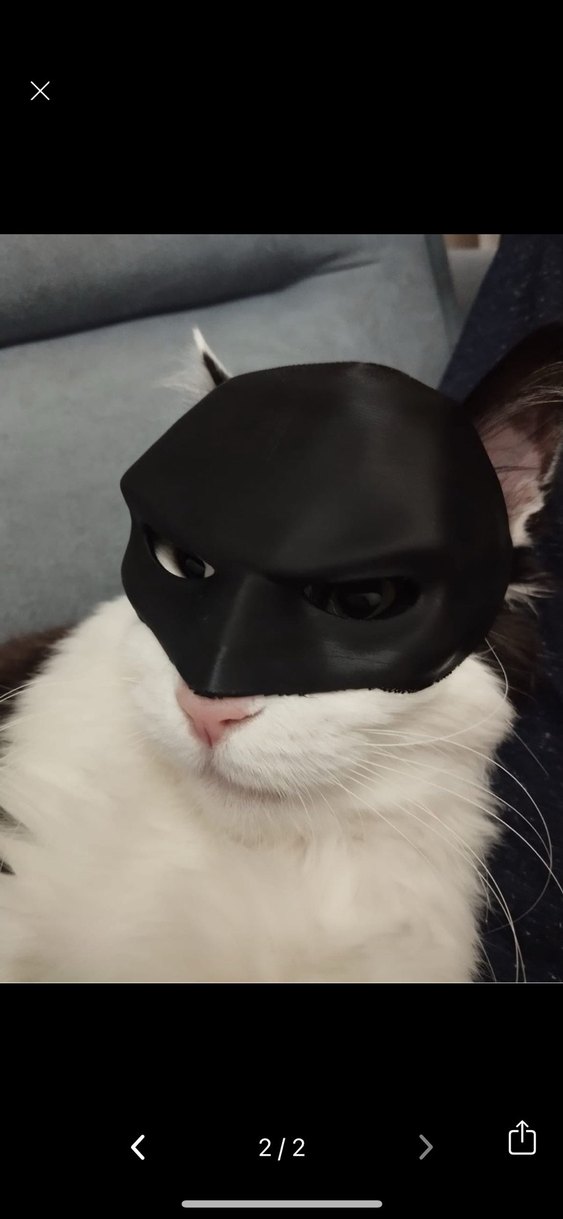 Batman Kedi Maskesi - Görsel 2