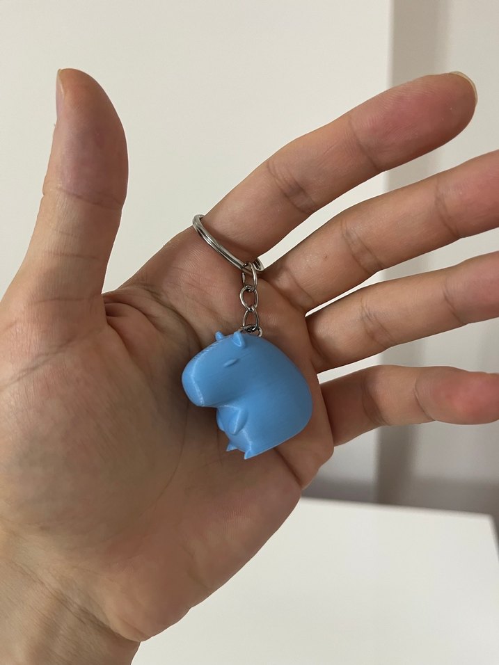 Sevimli Kapibara Anahtarlık - Görsel 2