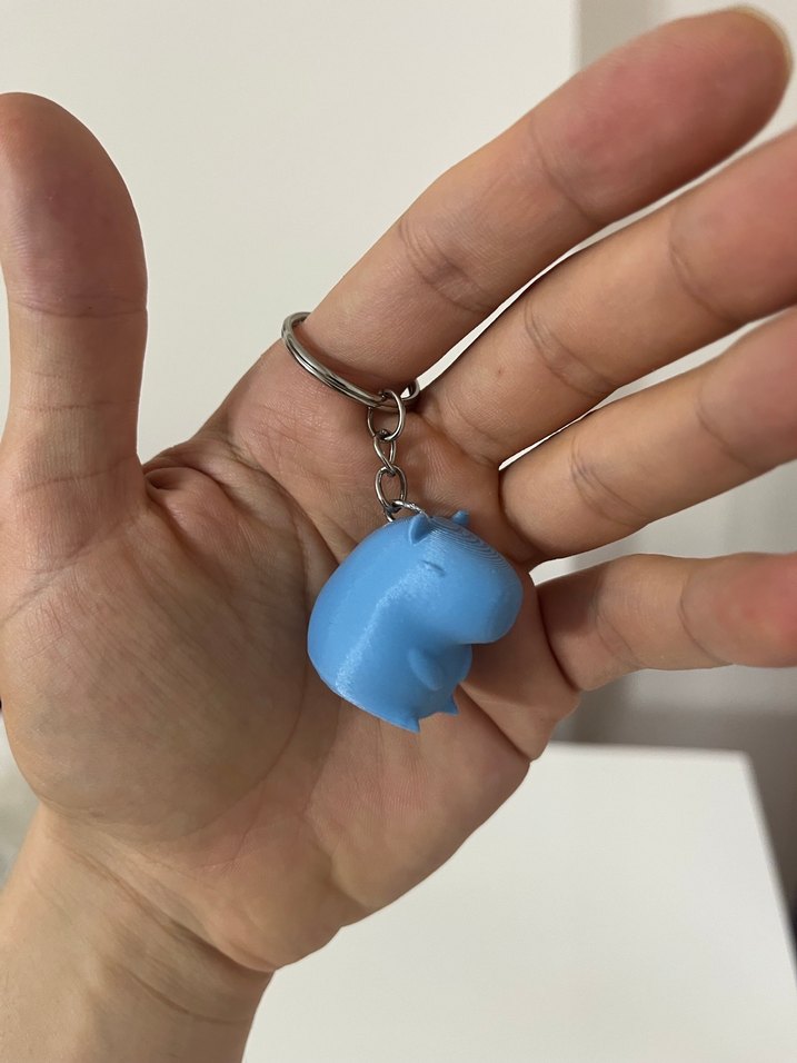 Sevimli Kapibara Anahtarlık - Görsel 3