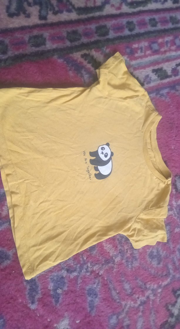 Sarı erkekÇocuk Kısa Kollu Panda Baskılı Tişört - Görsel 2