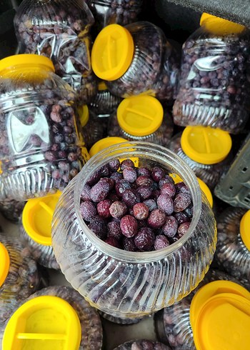 Doğal Ev Yapımı Zeytin (XL) Gemlik Tipi - Görsel 2