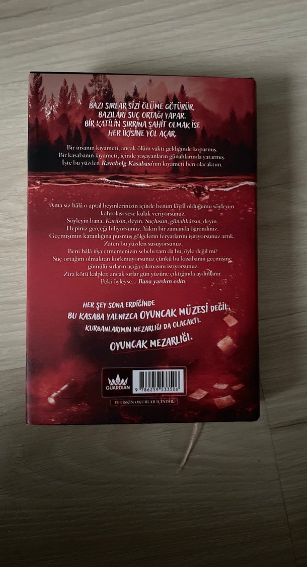 Oyuncak Mezarlığı - Görsel 2