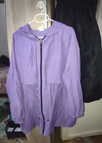 Aeropostale 40