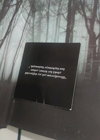 Maria Atmaca - Yaralasar Roman Seti - Görsel 8