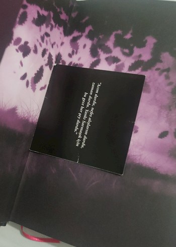 Maria Atmaca - Yaralasar Roman Seti - Görsel 9