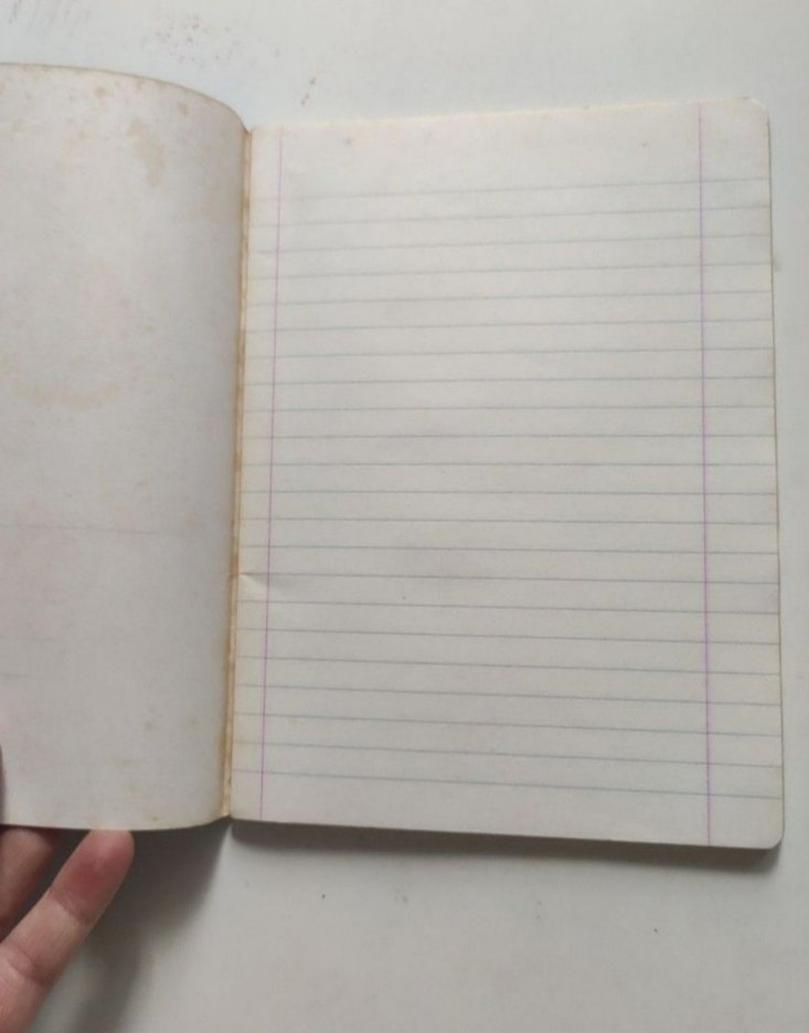 90'lardan Elvis Presley defter - Görsel 3