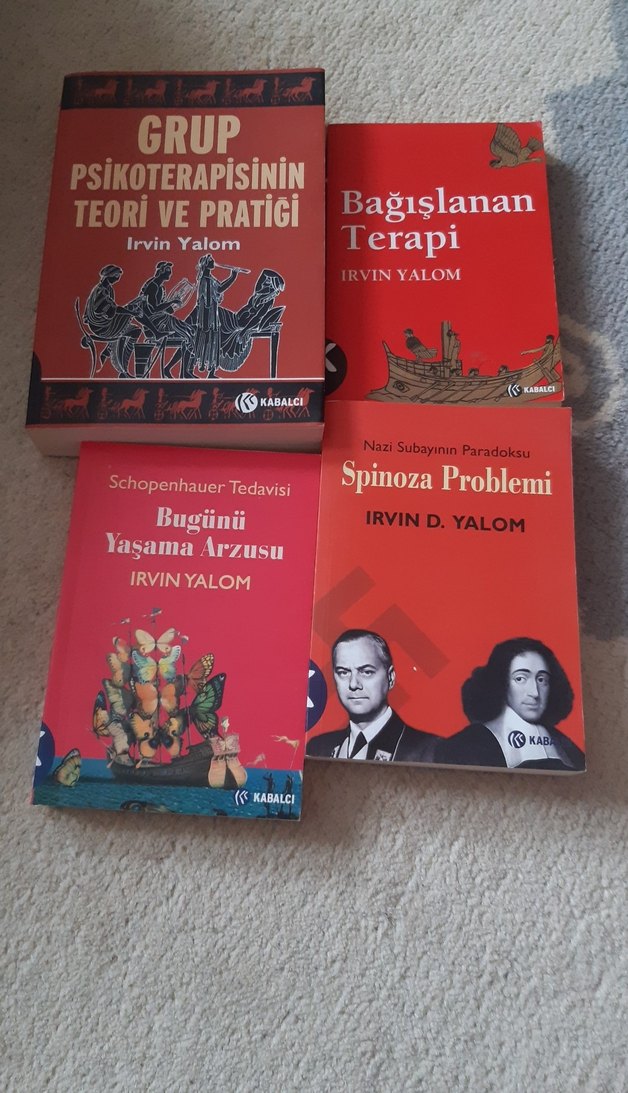 Irvin Yalom Kitap Seti - Görsel 3