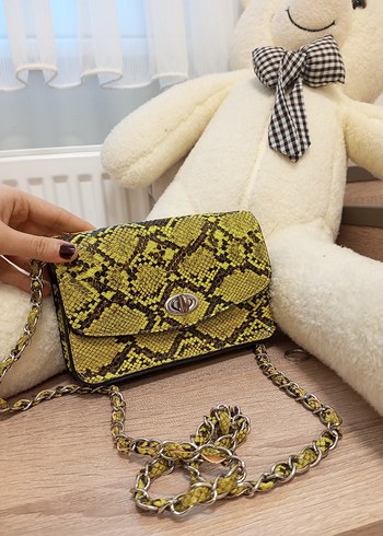 Stradivarius canta - Görsel 4