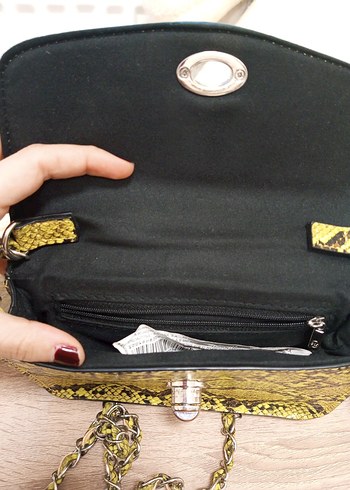 Stradivarius canta - Görsel 3