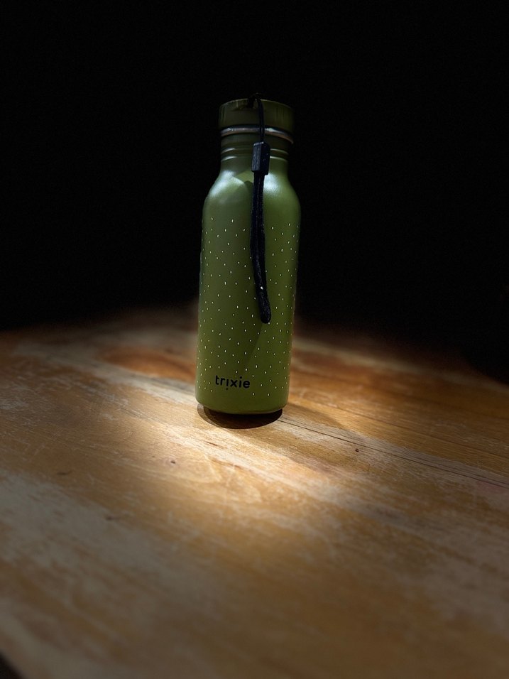 Yeşil Dinozor Desenli Çocuk Termosu - Görsel 2