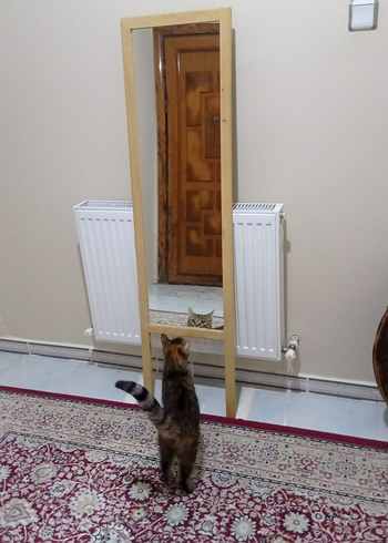 Bej Ayaklı Boy Aynası - Görsel 2