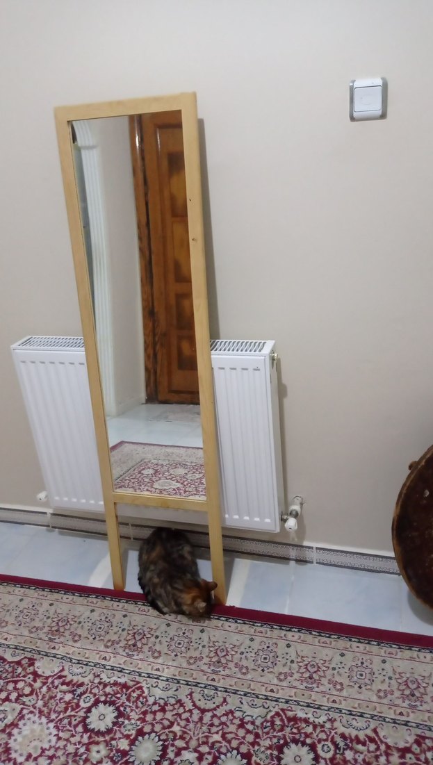 Bej Ayaklı Boy Aynası - Görsel 3