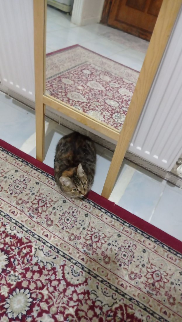 Bej Ayaklı Boy Aynası - Görsel 5