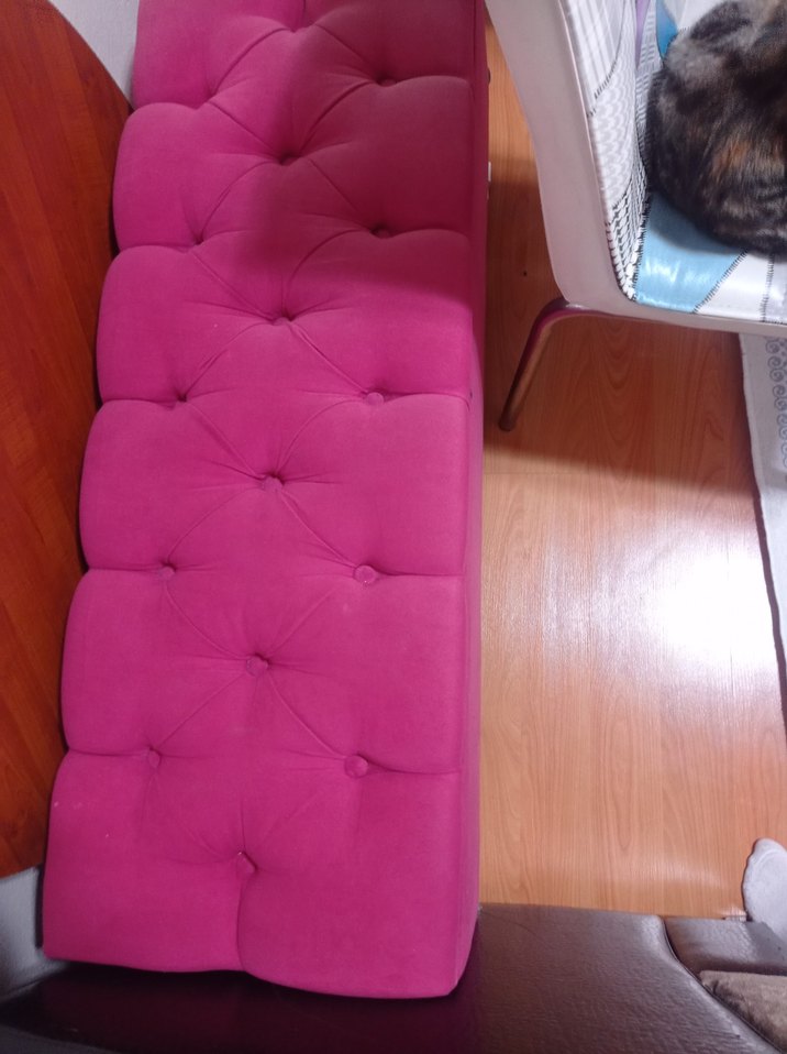 Pembe Modern Sandıklı Mobilya - Görsel 2