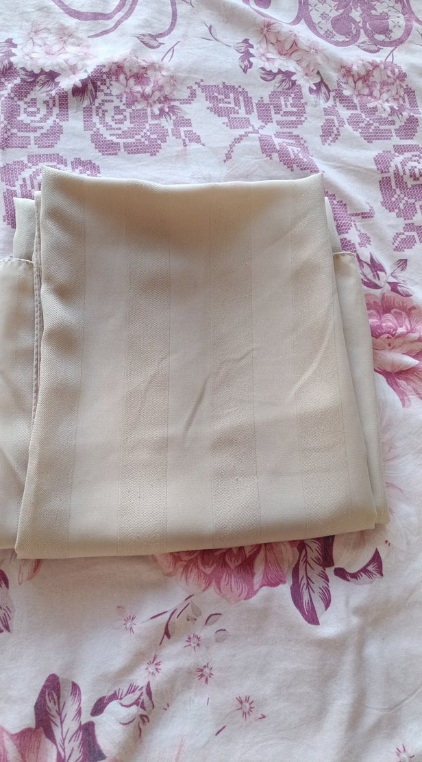 Bej Ipeksi Kadın Şal - Görsel 3