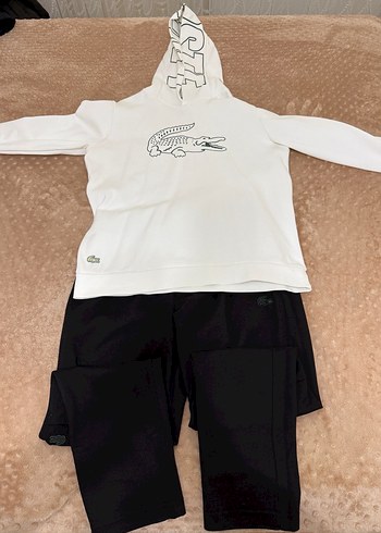 Lacoste xxl