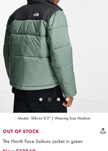 The North Face Saikuru Yeşil Mont - Görsel 2