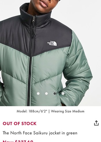 The North Face Saikuru Yeşil Mont - Görsel 4