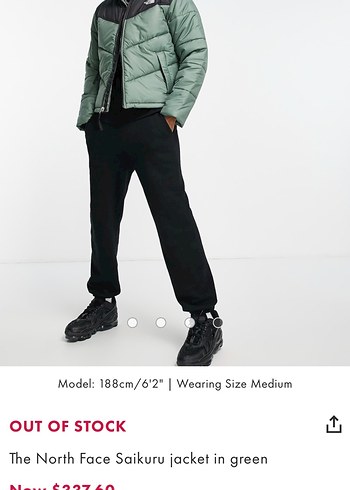 The North Face Saikuru Yeşil Mont - Görsel 3