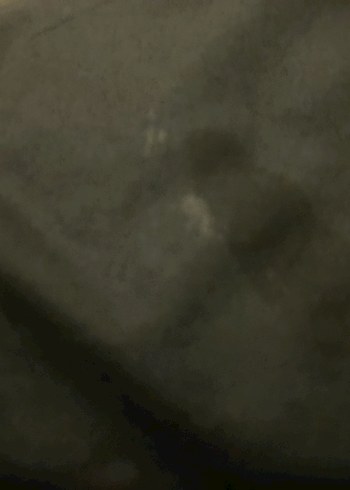 Sıfır ayarında nike mont - Görsel 5