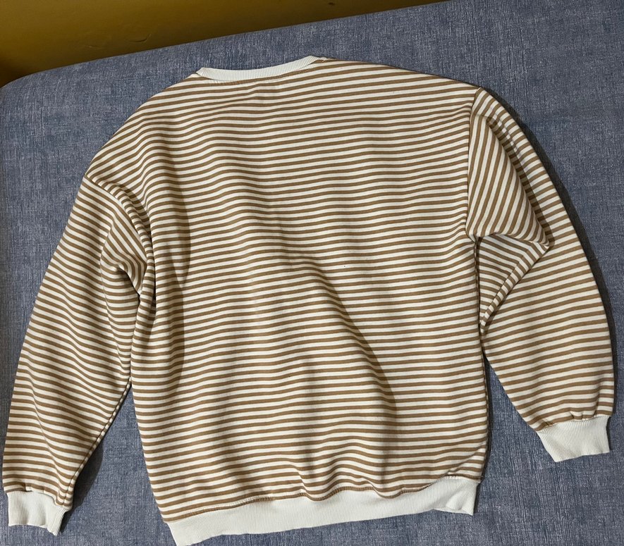 Erkek Kahverengi Çizgili uzun Kollu Sweatshirt - Görsel 2