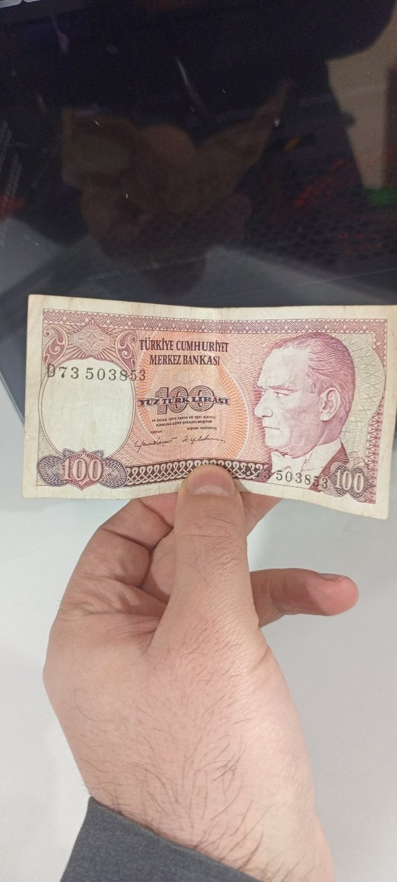 Türkiye Cumhuriyeti 100 Lira Eski Banknot - Görsel 3