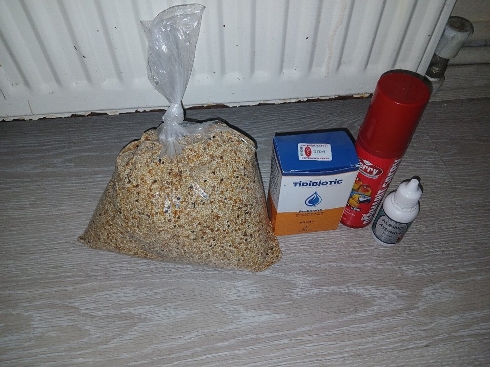 Küçük Renkli Kuş Kafesi - Görsel 2