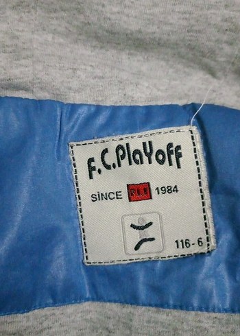 Kapüşonlu Fermuarlı Erkek Çocuk Mavi Mont - Görsel 4