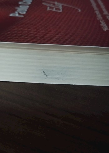 Paulo Coelho - Elif - Görsel 2