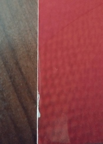 Paulo Coelho - Elif - Görsel 3