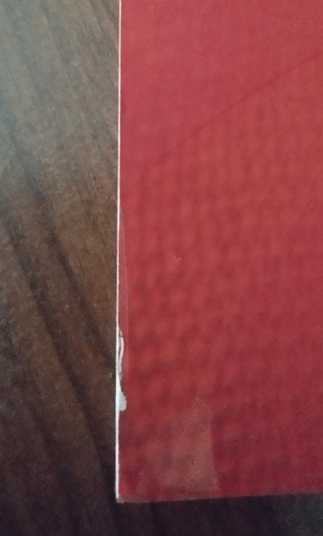 Paulo Coelho - Elif - Görsel 3