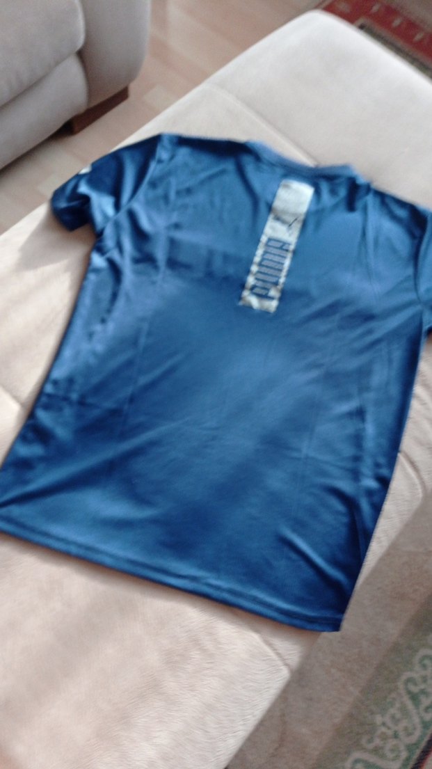 Mavi Erkek Kısa Kollu Baskılı Tişört - Görsel 3