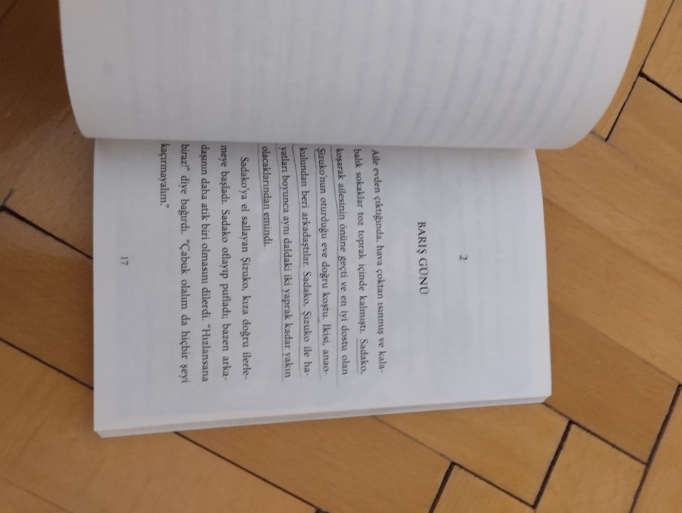 Sadako ve Kağıttan Bin Turna Kuşu - Eleanor Coerr - Görsel 2