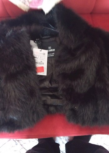 Siyah Kürk Detaylı Kadın Ceket - Görsel 2