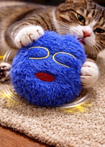 Mavi Peluş Oyuncak Yüz İfadesi kedi köpek oyuncağı - Görsel 2