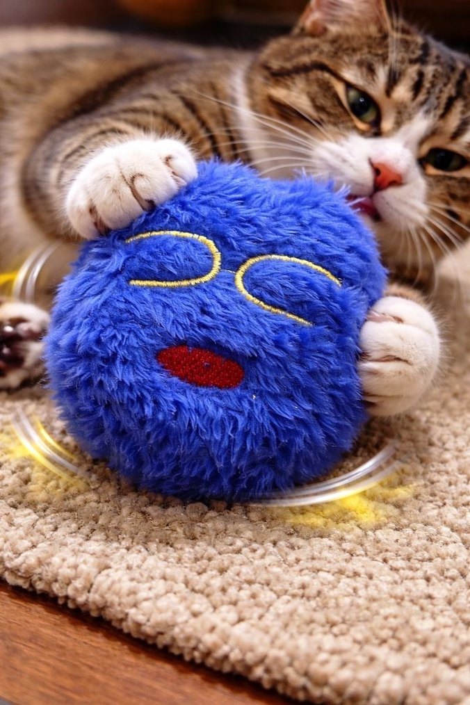 Mavi Peluş Oyuncak Yüz İfadesi kedi köpek oyuncağı - Görsel 2