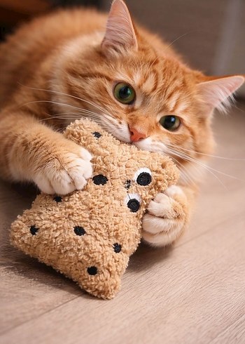 Siyah desenli kedi köpek peluş oyuncak - Görsel 2