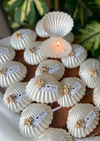 Deniz Kabuğu Mum Hediyelik