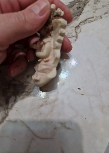 Pembe Pastel Renkli Melek Biblo Seti - Görsel 6