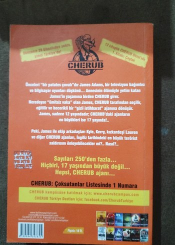 Çaylak - Robert Muchamore - Görsel 2