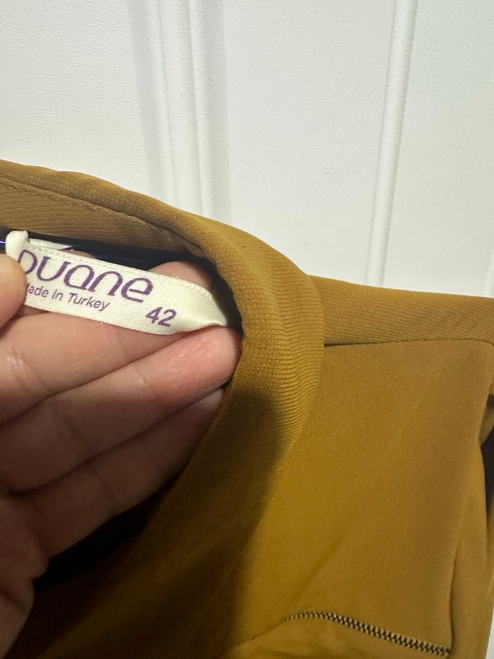 Bej Uzun Kollu Kadın Ofis Elbisesi - Görsel 4