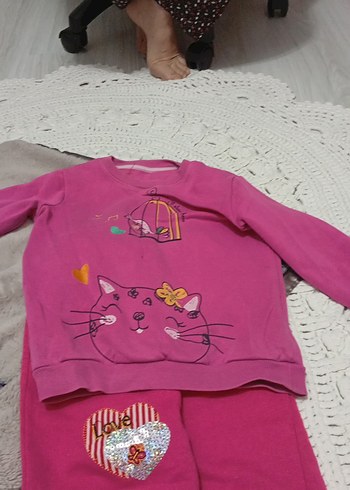 Renkli Baskılı Fermuarlı Pembe Köpek Kıyafeti - Görsel 4